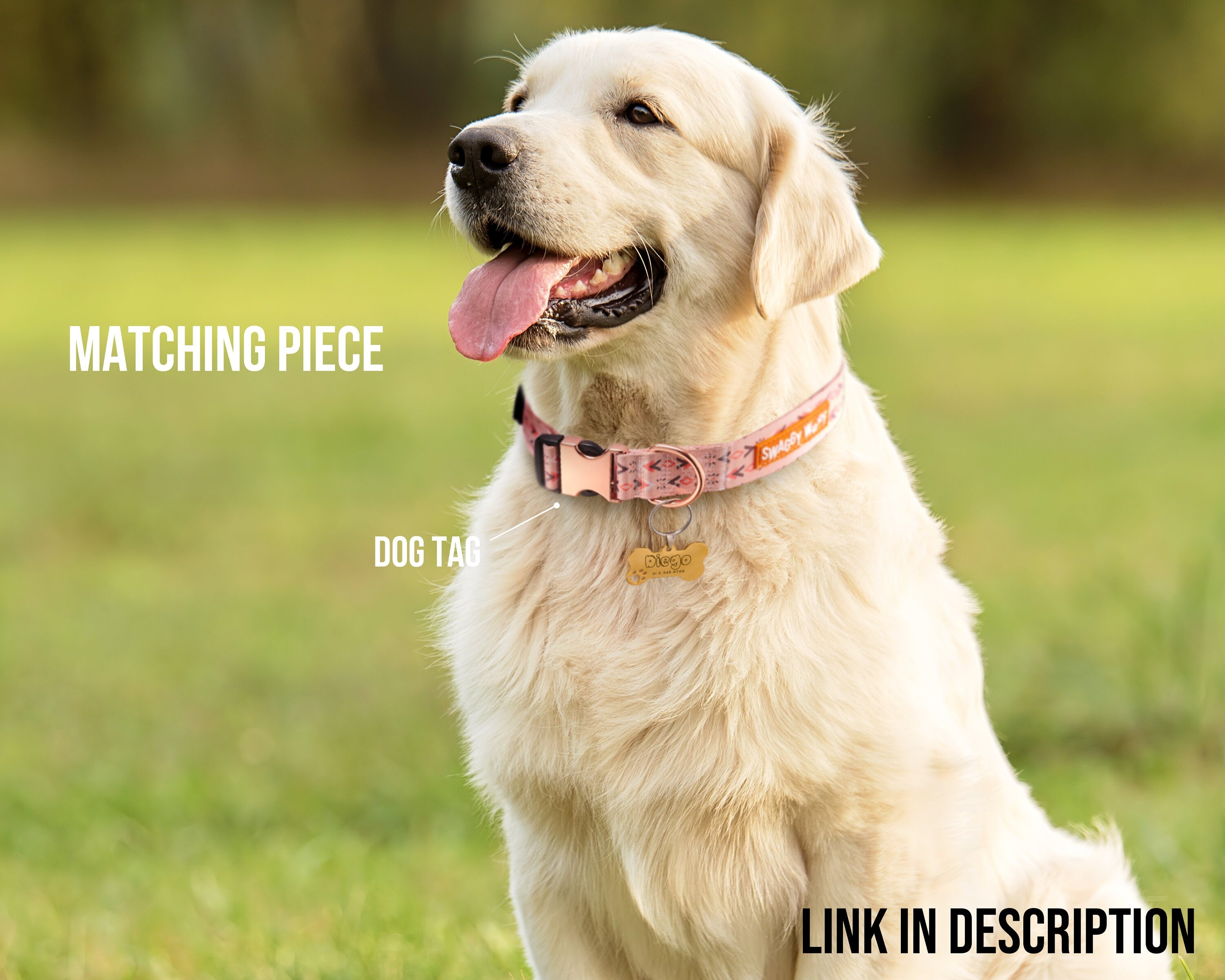 Personalized Dog Collar | Gift for Pets | Engraved Metal Buckle | Cute Dog Collar | Boy Girl Dog Collar | Adjustable Custom Name Dog Collar