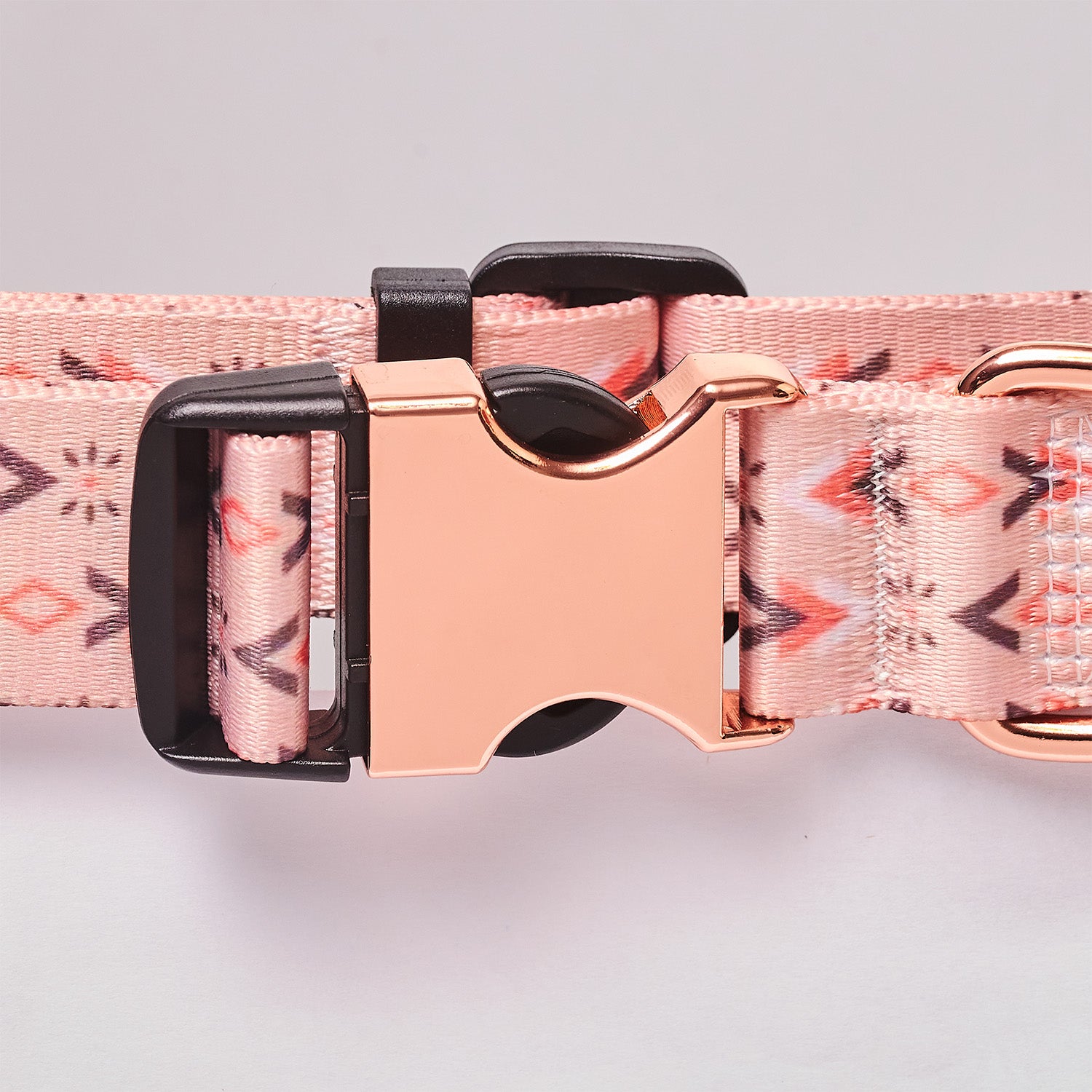 Personalized Dog Collar