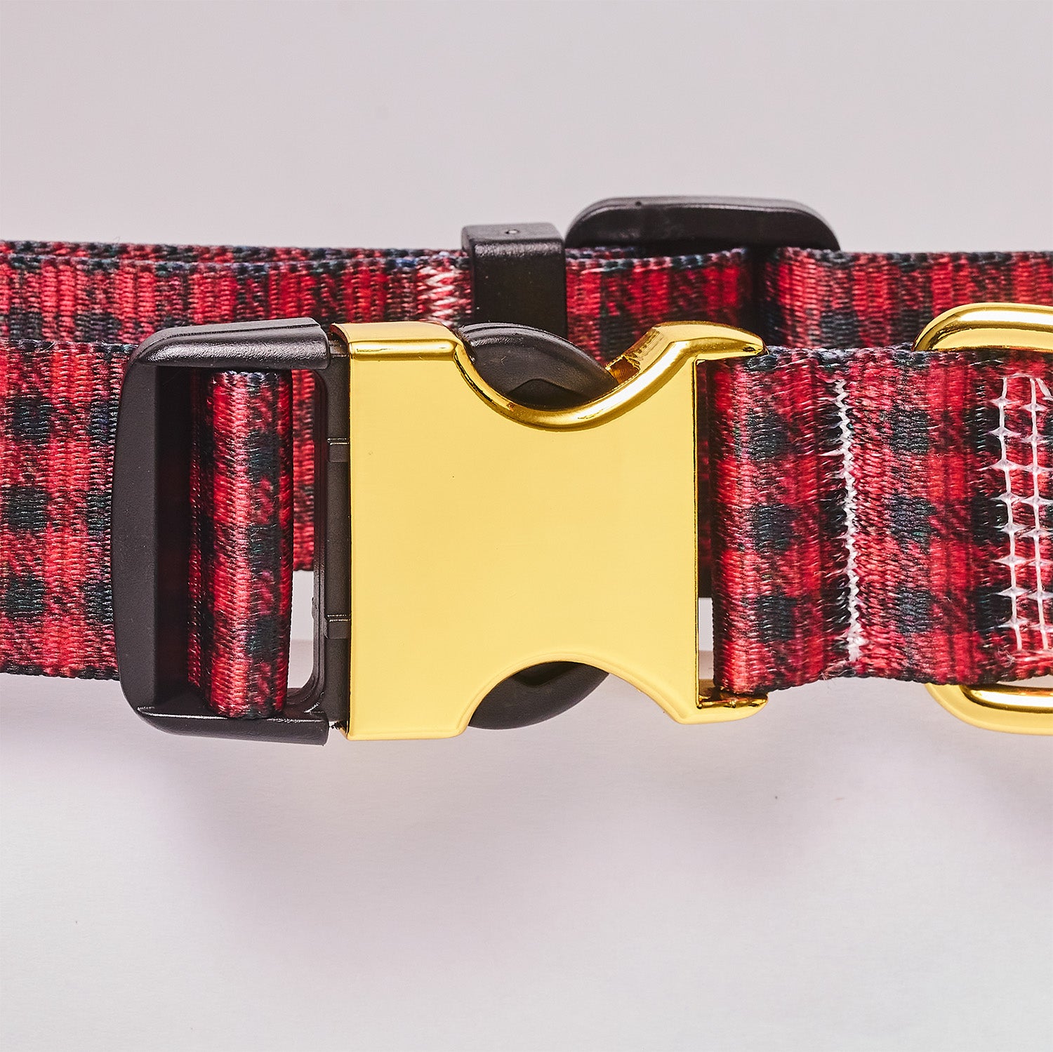 Personalized Dog Collar
