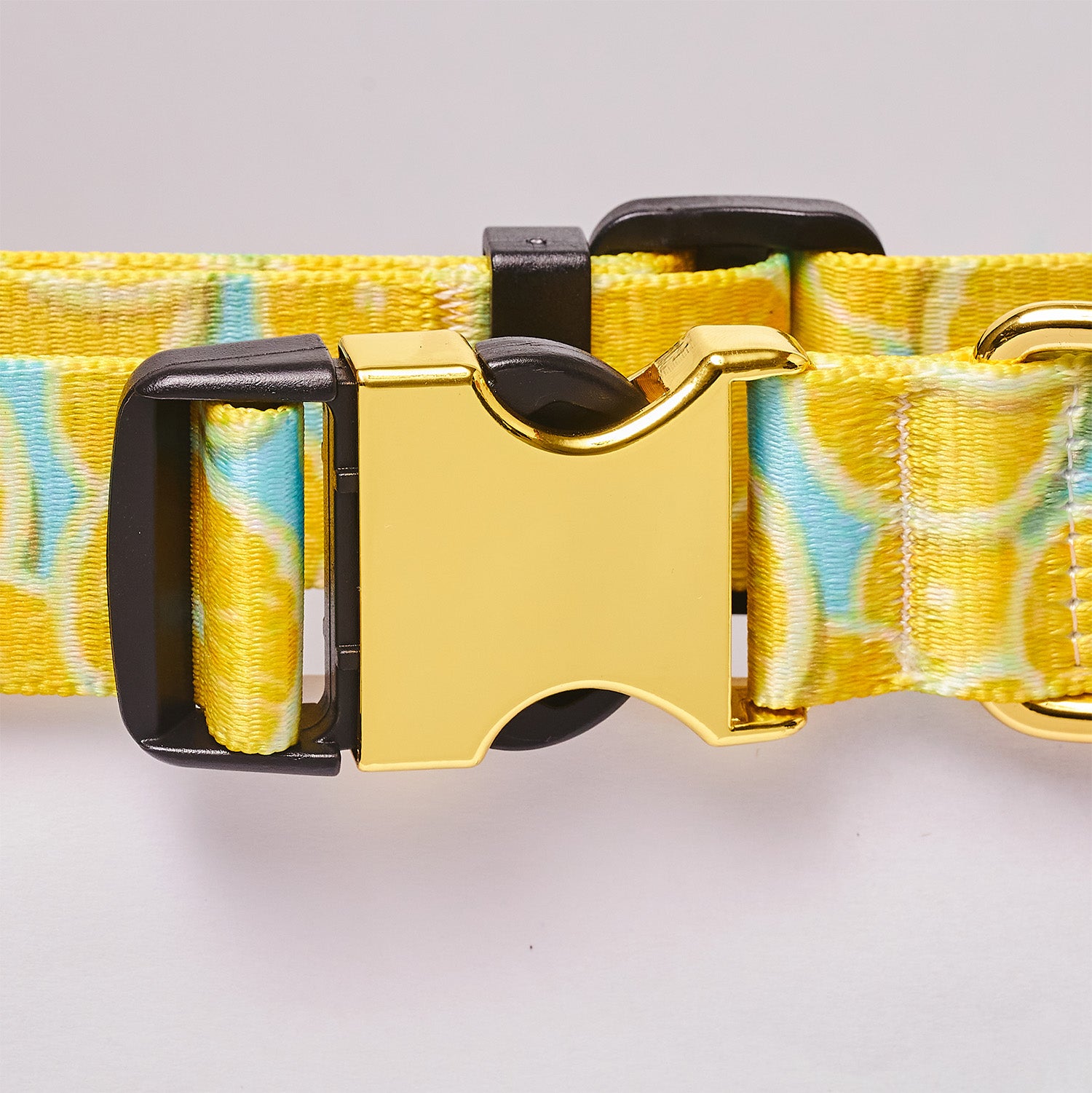 Personalized Dog Collar