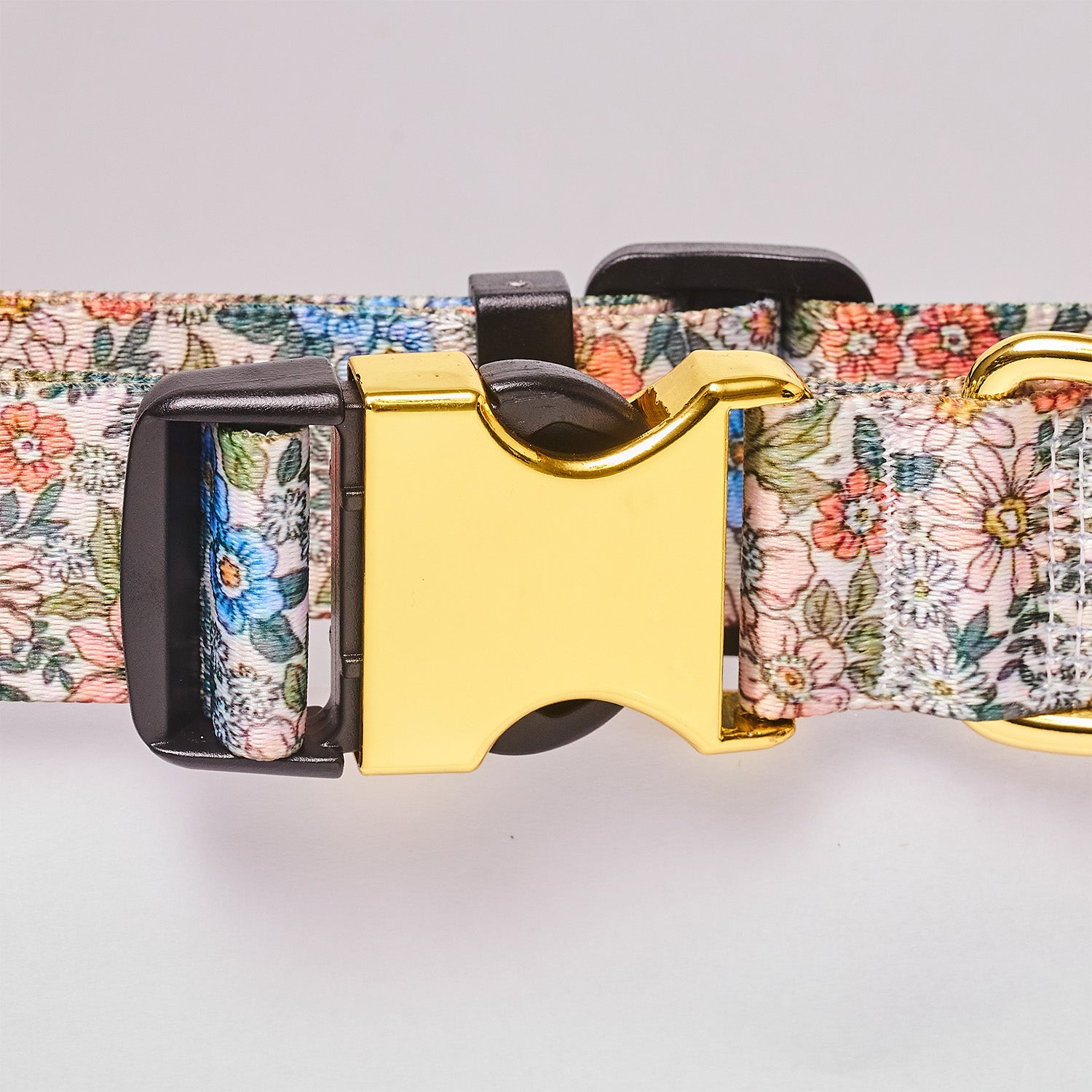 Personalized Dog Collar