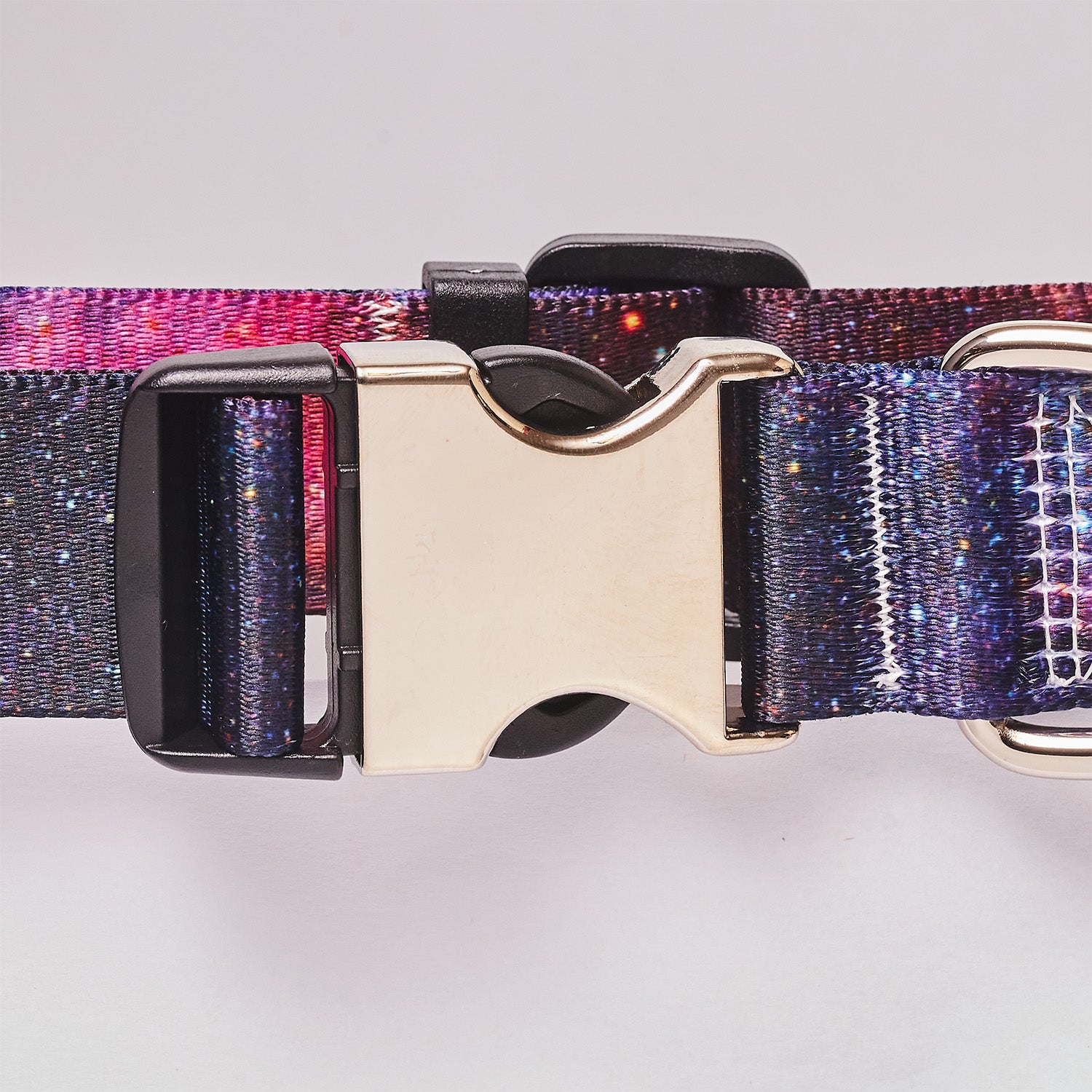 Personalized Dog Collar