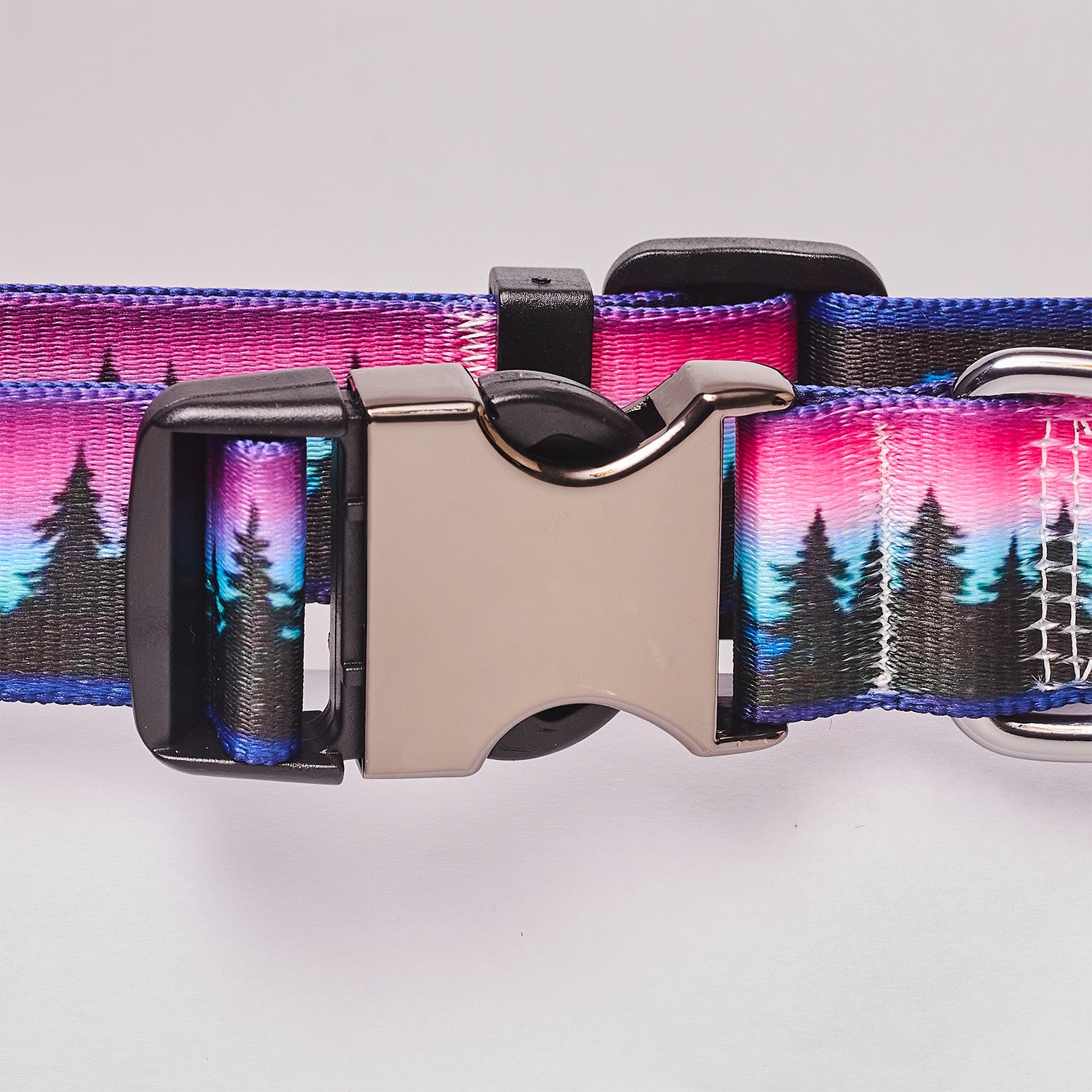 Personalized Dog Collar