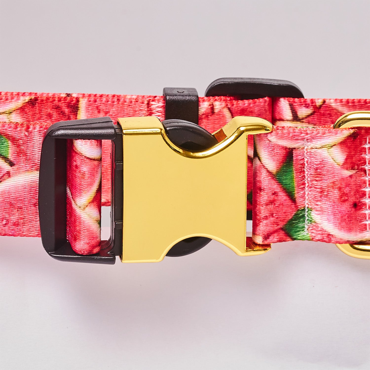 Personalized Dog Collar